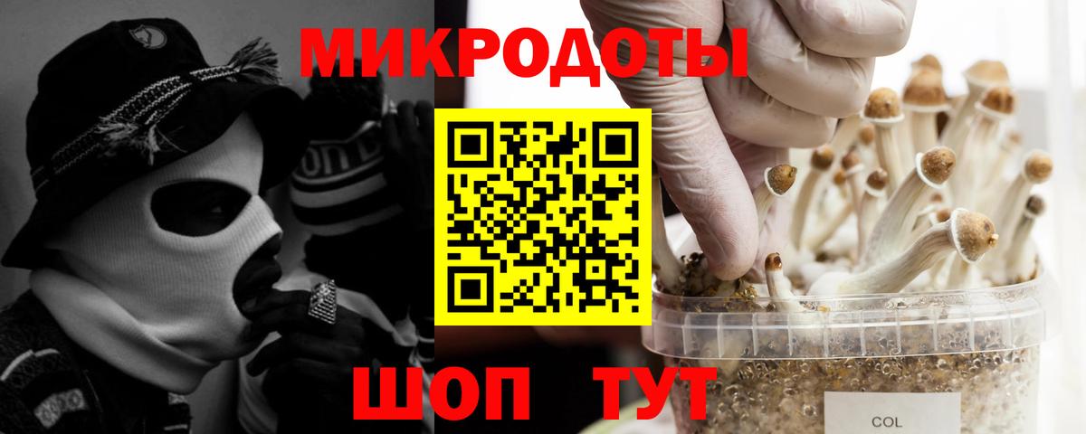 Щёлково  Псилоцибиновые грибы Cubensis  Вход с VPN  Псилоцибиновые грибы прущие грибы 